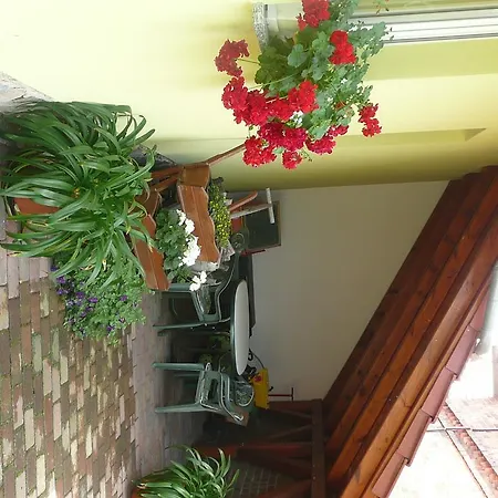 Landurlaub In Schiebsdorf * Kasel-Golzig