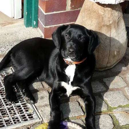 Landurlaub In Schiebsdorf 아파트