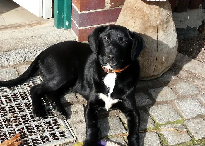 Landurlaub In Schiebsdorf Apartment